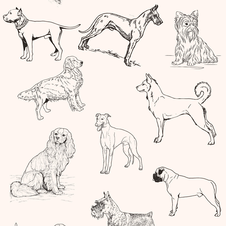 ST - 1230 Animal