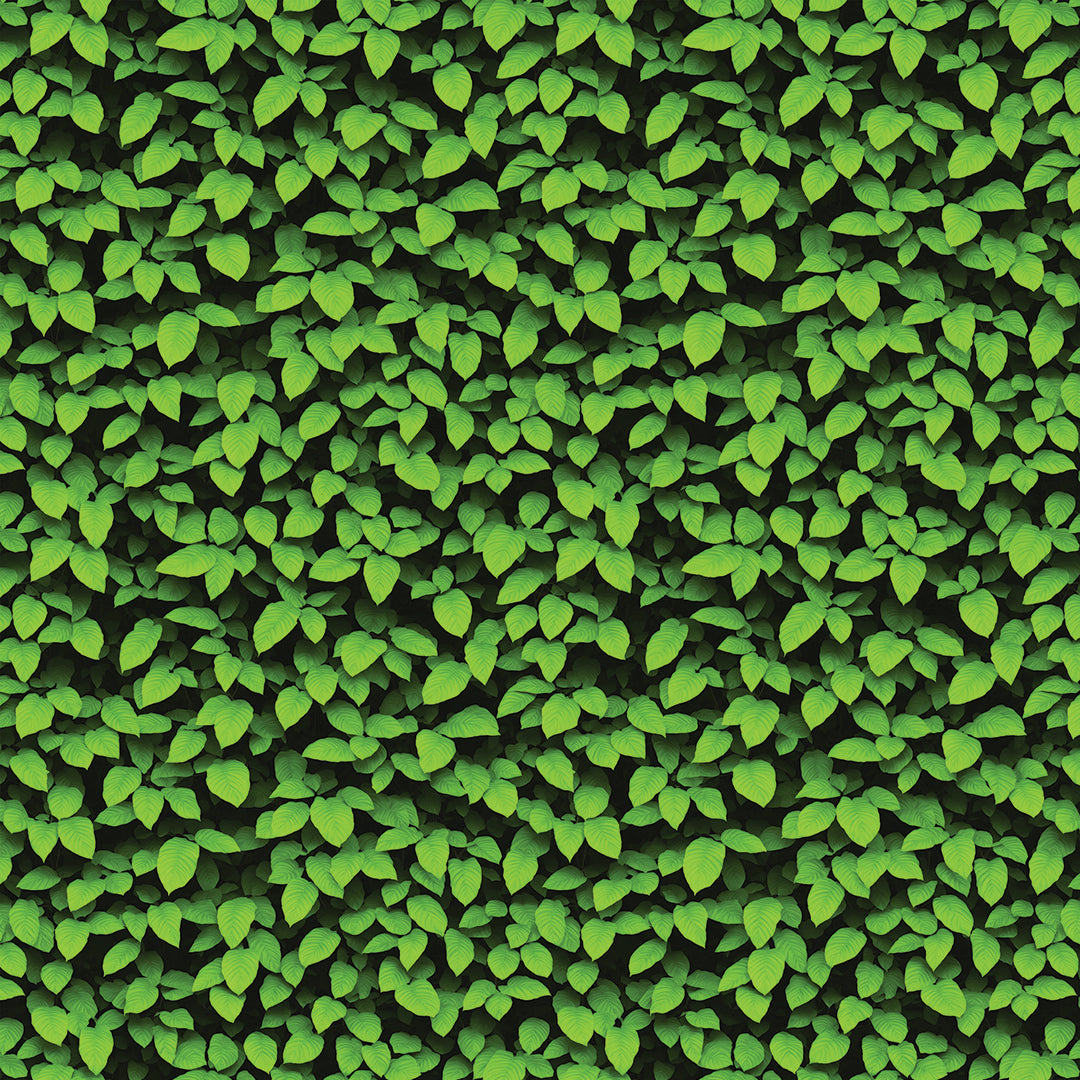 ST - 2677 Hoja