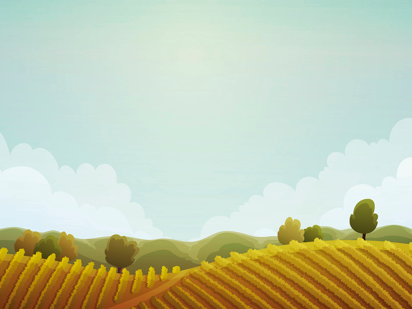 ST - 2482 Paisaje