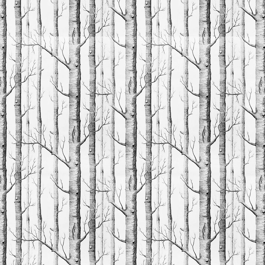 Papel Tapiz ST - 041 Tapiz Texturizado Especial
