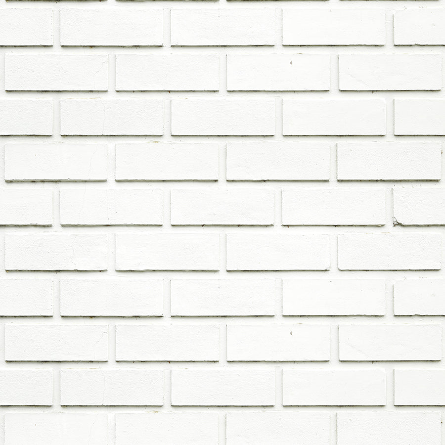 ST - 029 Ladrillo blanco liso