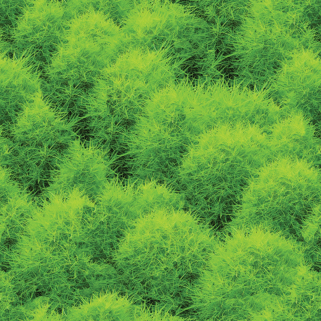 ST - 2683 Hoja