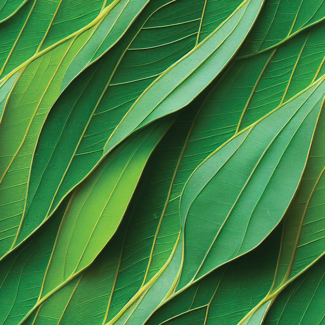 ST - 2685 Hoja