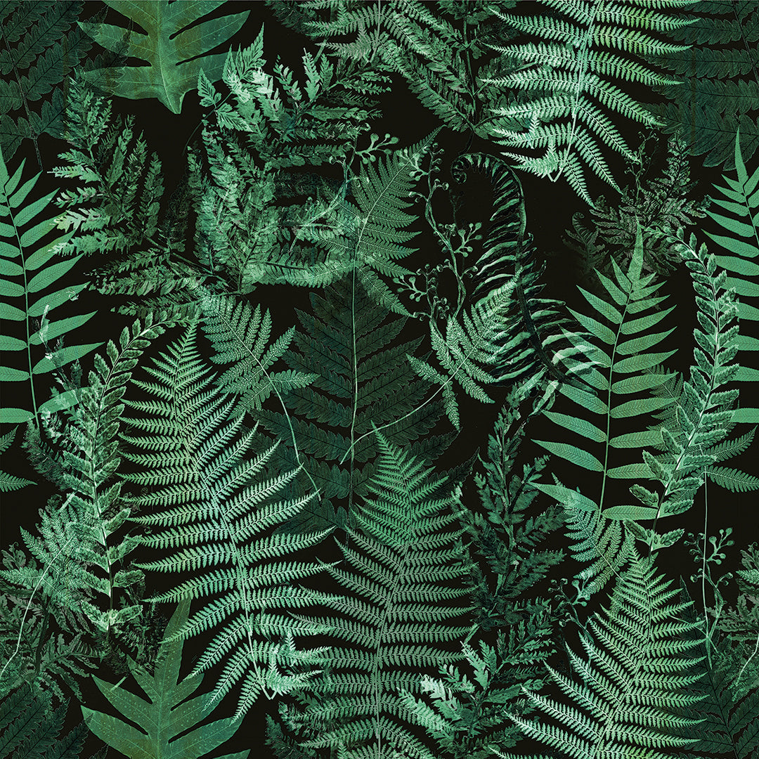 ST - 2687 Hoja