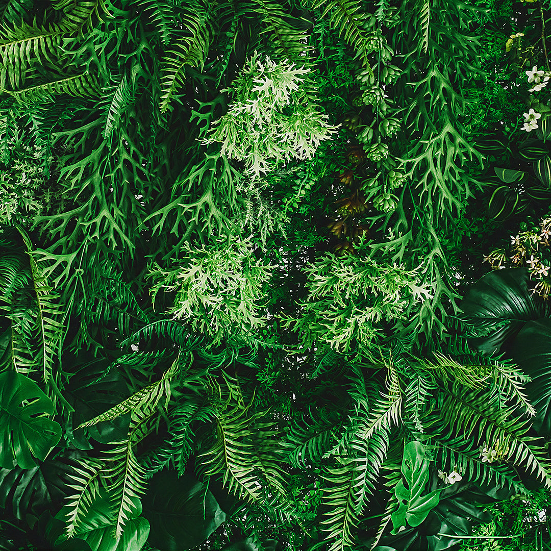 ST - 2714 Hoja
