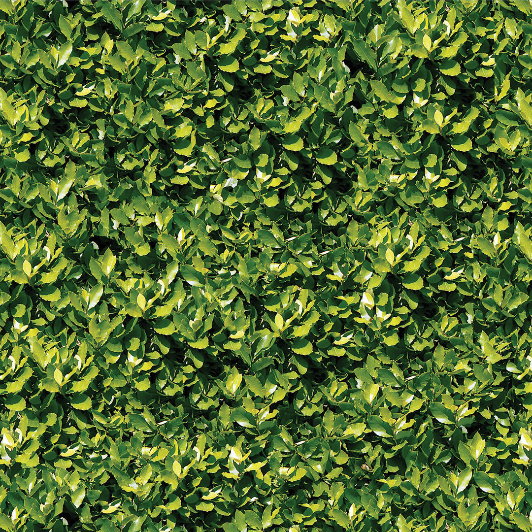 ST - 2676 Hoja