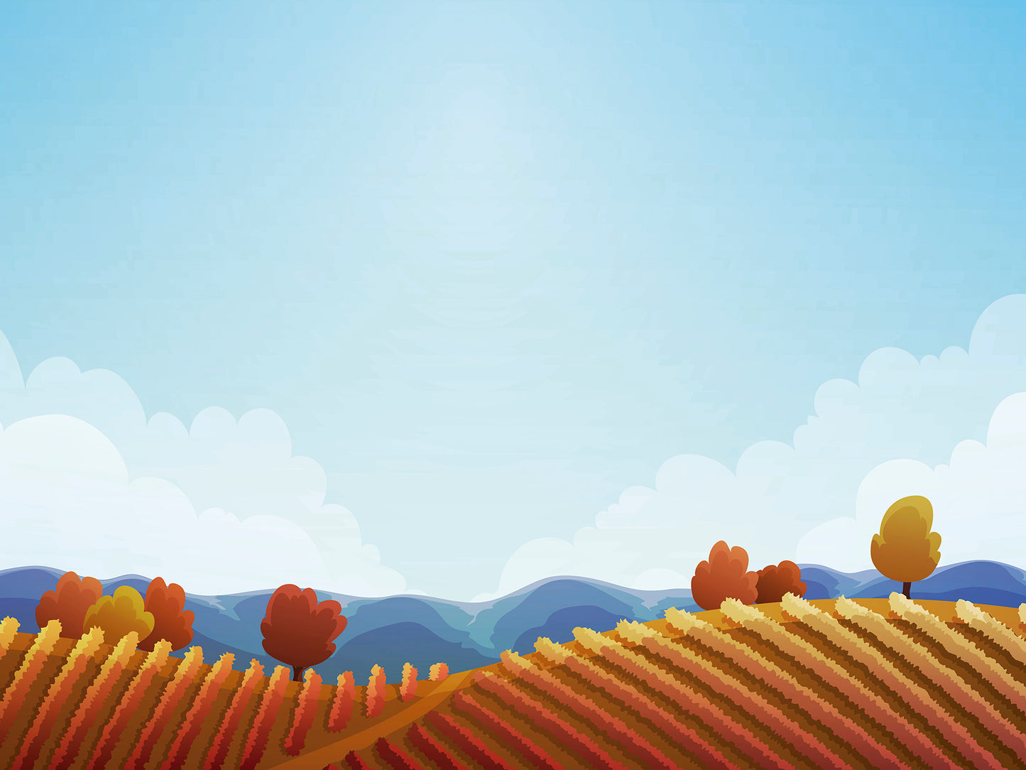 ST - 2481 Paisaje