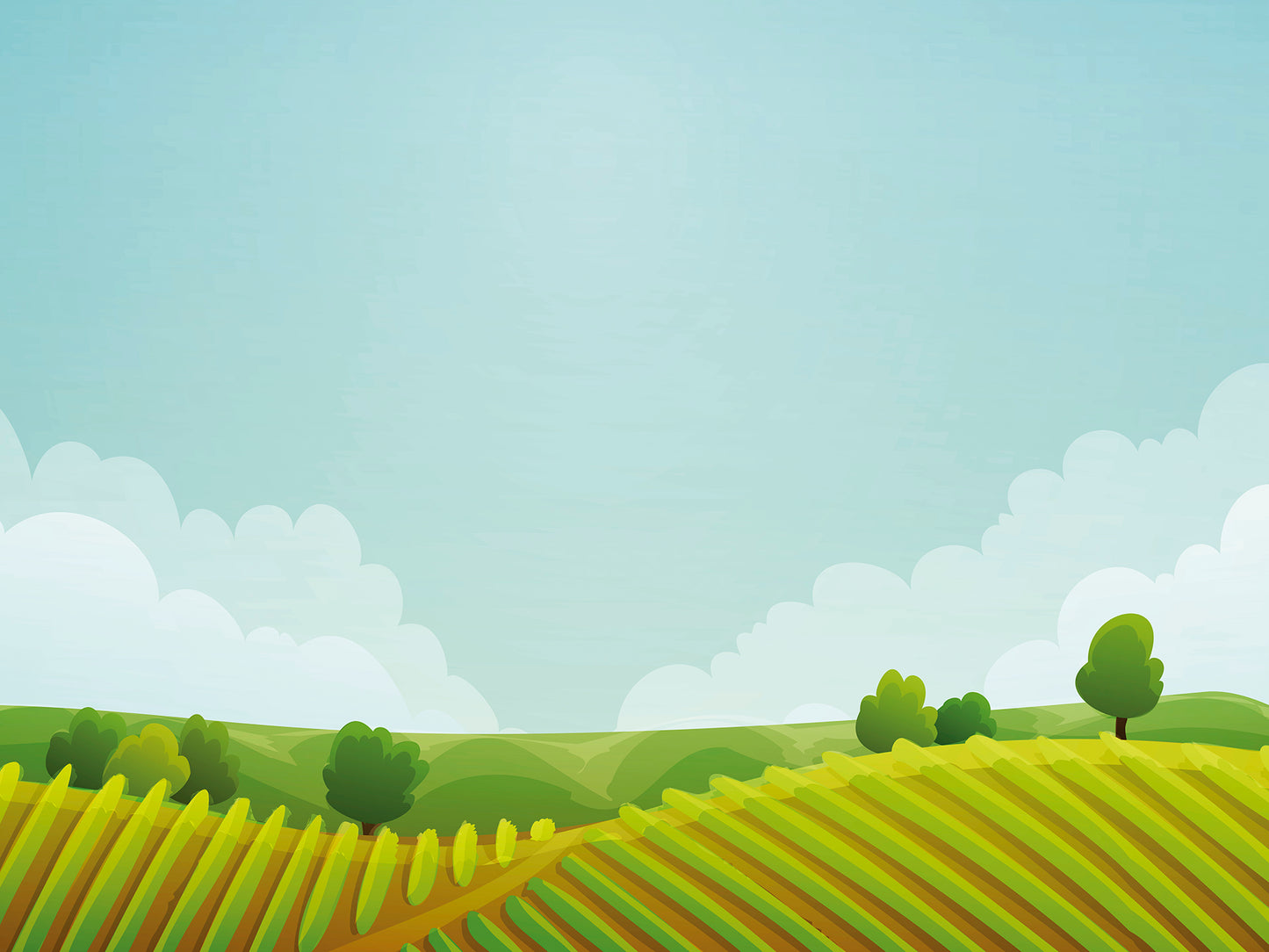 ST - 2483 Paisaje