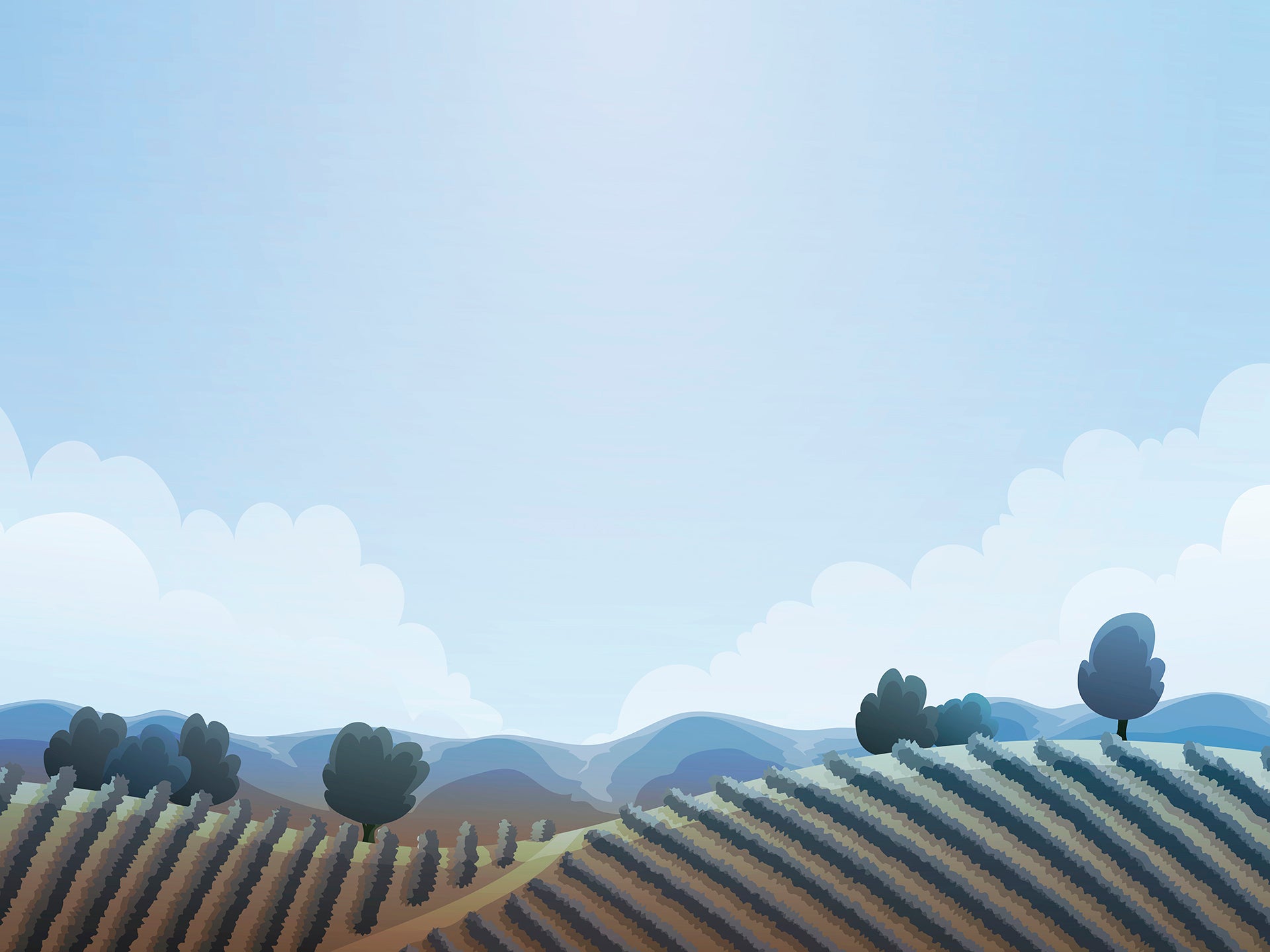 ST - 2484 Paisaje