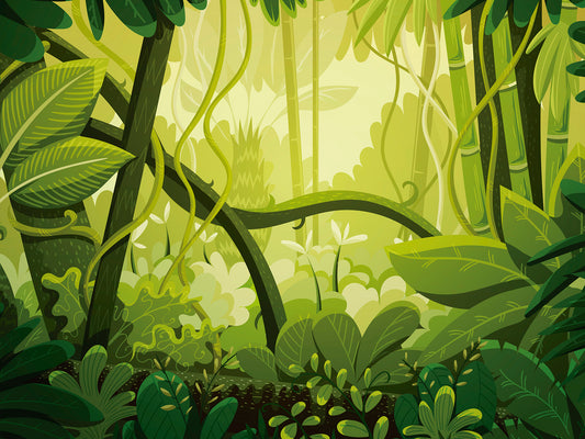 ST - 2473 Paisaje