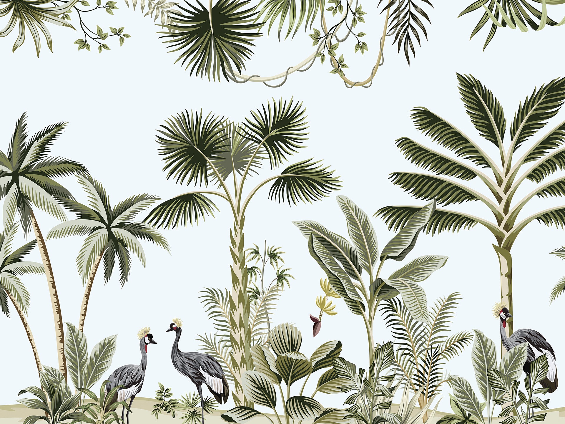 ST - 2536 Paisaje
