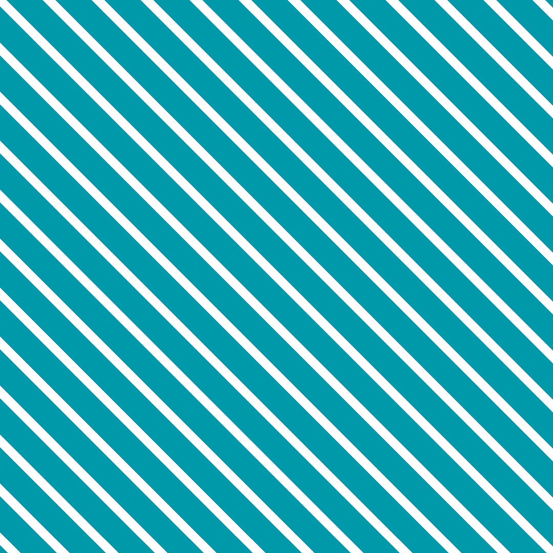 ST - 2026 Paraiso