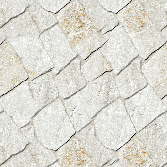 ST - 631 Pared